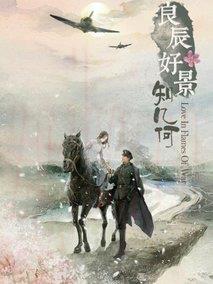《良辰好景知几何》共43集_大陆电视剧全集剧情文案
