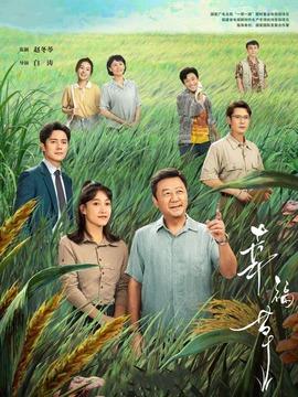 《幸福草》共24集_2024年中国内地电视剧全集剧情文案