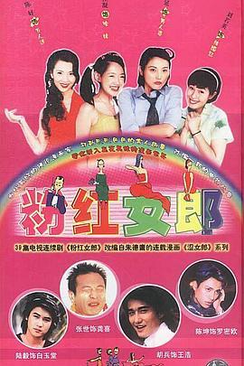 《涩女郎》共46集_2003大陆电视剧全集剧情文案