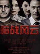 《暗战风云》共30集_2017大陆电视剧全集剧情文案