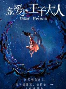 《亲爱的王子大人》共19集_2017大陆电视剧全集剧情文案