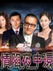 《情陷夜中环》共30集_香港电视剧全集剧情文案