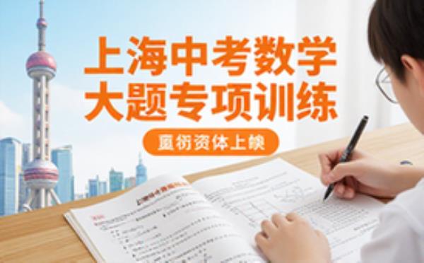 上海中考数学综合大题专项习题训练资料适合中考生提分