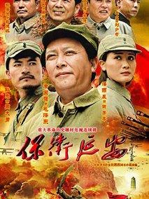《保卫延安》共28集_2009大陆电视剧全集剧情文案