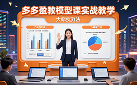 多多盈利模型课-电商从业者-实战教学-六大核心打法-课程