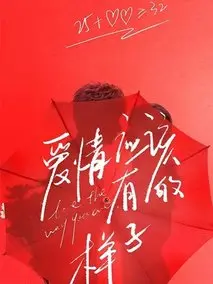 《爱情应该有的样子》共30集_其他电视剧全集剧情文案