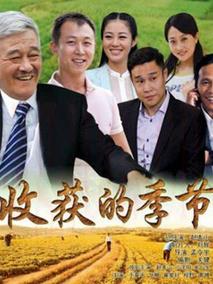 《收获的季节》共30集_大陆电视剧全集剧情文案