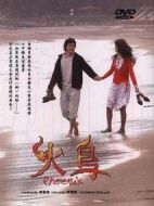 《火鸟》共37集_韩国电视剧全集剧情文案