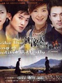 《就像美丽蝴蝶飞》共32集_大陆电视剧全集剧情文案