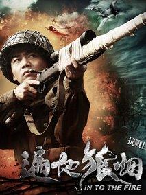 《遍地狼烟》共28集_2011大陆电视剧全集剧情文案