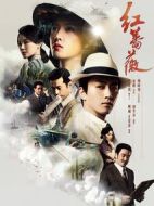 《红蔷薇》共48集_大陆电视剧全集剧情文案