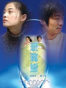《玻璃婚》共40集_2006大陆电视剧全集剧情文案