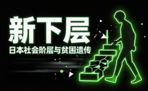 新下层：日本的社会阶层与贫困遗传 电子书籍读物电子版资料大全