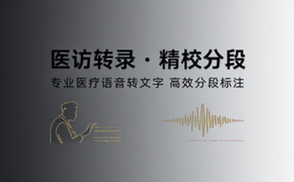 医生访谈转录校对与分段标注