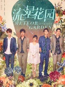 《流星花园》共48集_2018大陆电视剧全集剧情文案