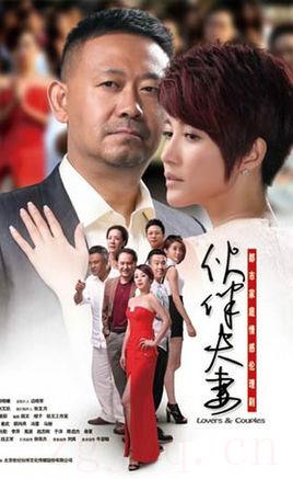 《伙伴夫妻》共31集_大陆电视剧全集剧情文案