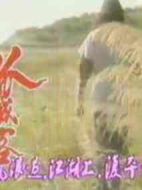 《孤城客》共20集_香港电视剧全集剧情文案