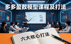 多多平台盈利模型解析课程-电商从业者-运营打法学习-视频资料
