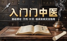 中医自学完整资源合集涵盖基础理论方剂针灸临床实践