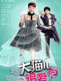 《大猫儿追爱记》共58集_2015大陆电视剧全集剧情文案