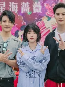 《星海蔷薇》共24集_大陆电视剧全集剧情文案