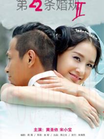 《第22条婚规2》共61集_大陆电视剧全集剧情文案