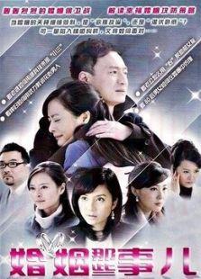 《婚姻那些事儿》共28集_内地电视剧全集剧情文案