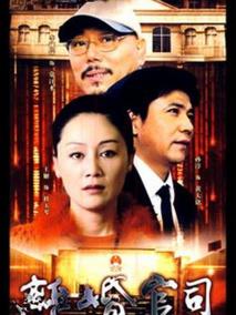 《离婚官司》共20集_大陆电视剧全集剧情文案