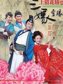 《上错花轿之三嫁奇缘》共35集_2015大陆电视剧全集剧情文案