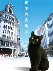 《银座黑猫物语》共10集_日本电视剧全集剧情文案