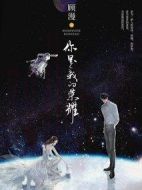 《你是我的荣耀》共32集_大陆电视剧全集剧情文案