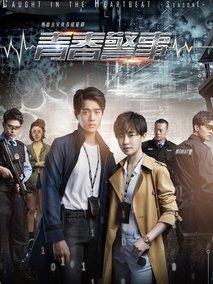 《青春警事》共40集_2018大陆电视剧全集剧情文案