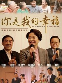 《你是我的幸福》共28集_2011大陆电视剧全集剧情文案