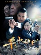 《风雷怒》共36集_大陆电视剧全集剧情文案