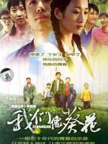 《我们像葵花》共29集_大陆电视剧全集剧情文案