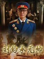 《刘伯承元帅》共33集_2012大陆电视剧全集剧情文案