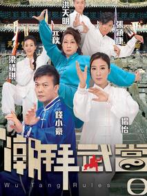 《潮拜武当》共20集_香港电视剧全集剧情文案