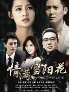《情满雪阳花》共46集_大陆电视剧全集剧情文案