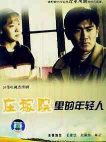 《庄稼院里的年轻人》共20集_大陆电视剧全集剧情文案