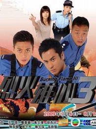 《烈火雄心3》共32集_香港电视剧全集剧情文案