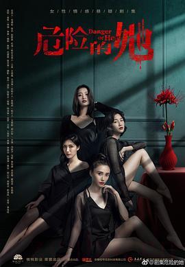 《危险的她》共14集_2020大陆电视剧全集剧情文案