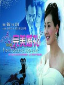 《完美婚礼》共22集_2016大陆电视剧全集剧情文案