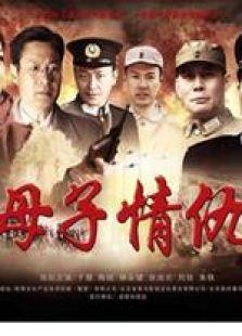 《母子情仇》共23集_内地电视剧全集剧情文案