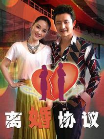 《离婚协议》共35集_2013大陆电视剧全集剧情文案