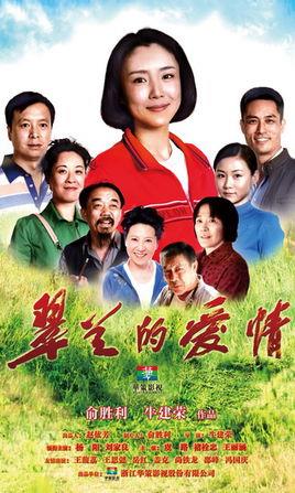 《翠兰的爱情》共30集_2014大陆电视剧全集剧情文案