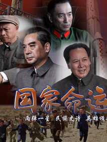 《国家命运》共29集_2012大陆电视剧全集剧情文案