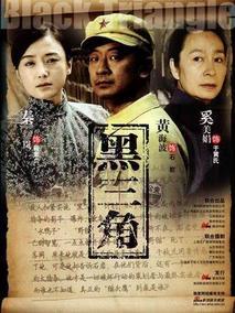 《黑三角》共30集_大陆电视剧全集剧情文案