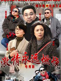 《激情永远燃烧》共32集_大陆电视剧全集剧情文案