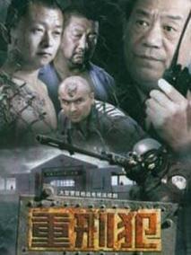 《大漠高墙》共20集_大陆电视剧全集剧情文案