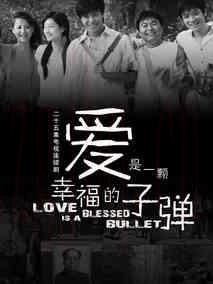 《爱是一颗幸福的子弹》共25集_大陆电视剧全集剧情文案